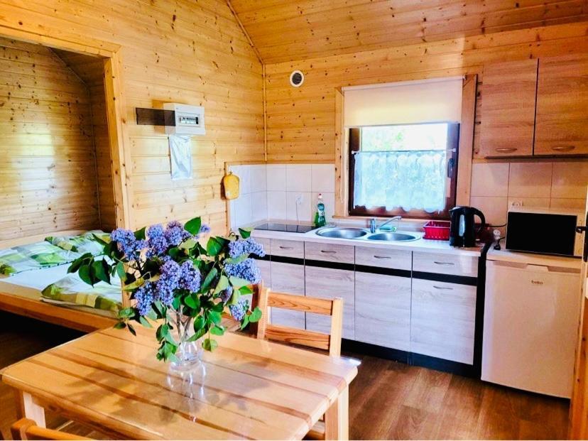 Domki Letniskowe Wiktoria Jezierzany Esterno foto